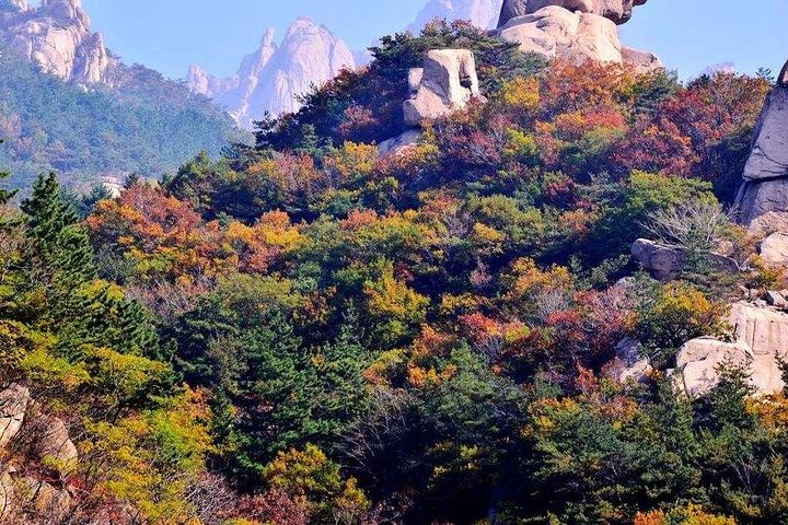 Private Qingdao Laoshan half day tour with one bottle of Tsingdao beer as gift