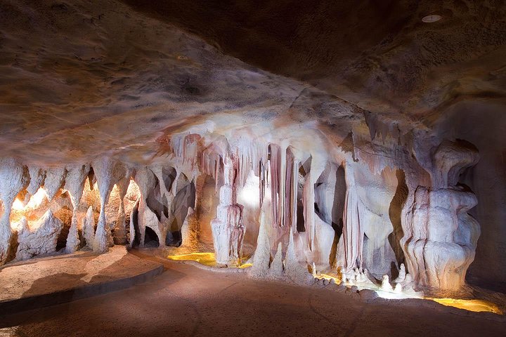 Springbrook andTamborine Rainforest Tour Incl Natural Bridge and Glow Worm Cave