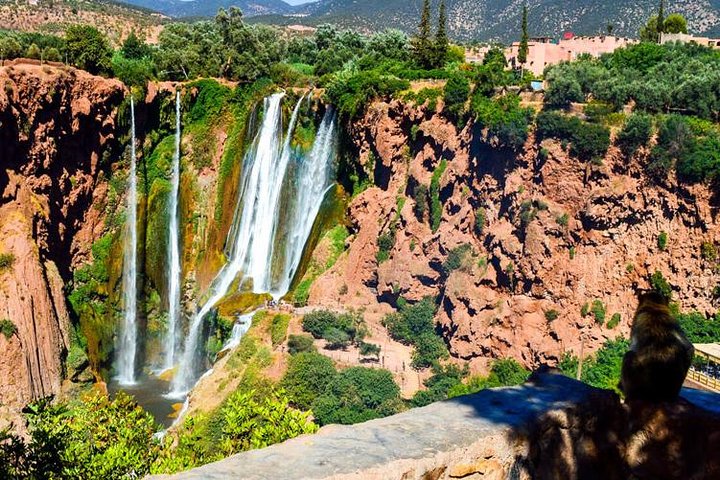 Day Trip To Ouzoud Waterfalls From Marrakech