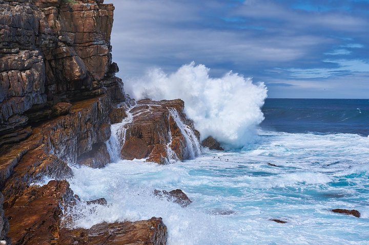 Cape Peninsula Full Day Tour in Private Car
