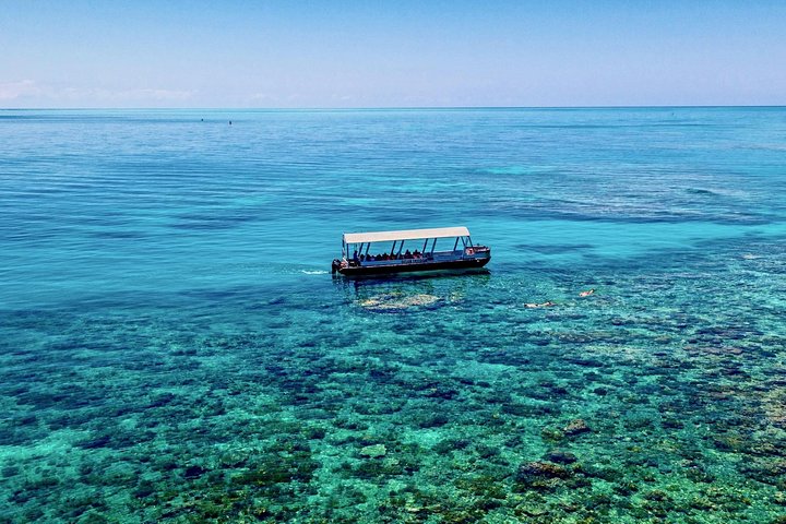 Ocean Freedom: Great Barrier Reef Stylish Snorkel, Dive Reef Tour