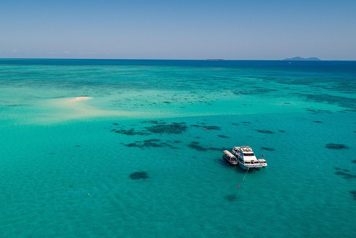 Ocean Freedom: Great Barrier Reef Stylish Snorkel, Dive Reef Tour