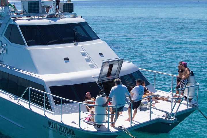 Ocean Freedom: Great Barrier Reef Stylish Snorkel, Dive Reef Tour