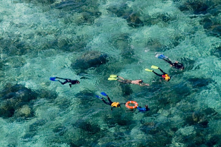 Ocean Freedom: Great Barrier Reef Stylish Snorkel, Dive Reef Tour