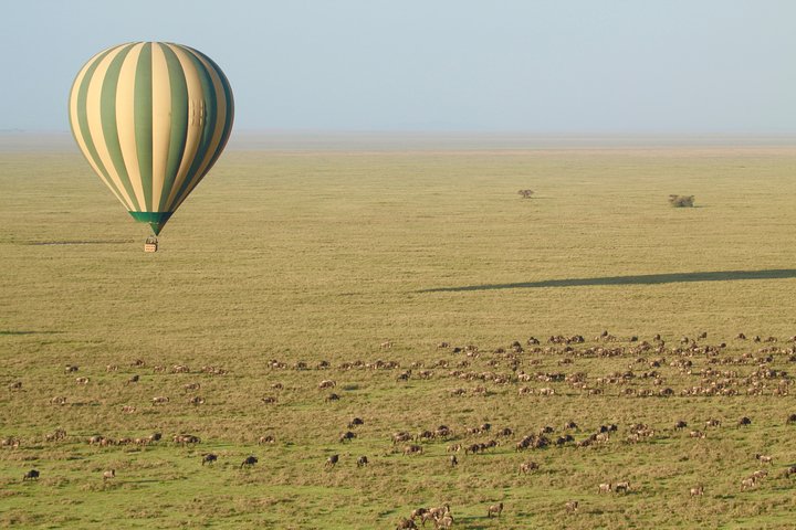 Serengeti Balloon Safari and authentic bush breakfast
