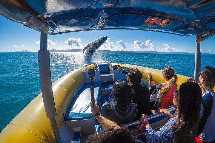 Ocean Rafting: Whitehaven Beach, Snorkelling & Hill Inlet Lookout
