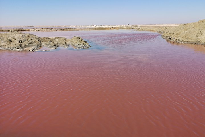 Half Day Kayaking Adventure in Walvis Bay