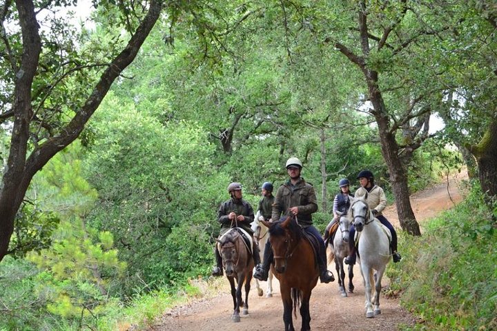 Horseback Riding, 4 Options-Mountain, Lesson Ring, Beach (2Hours)