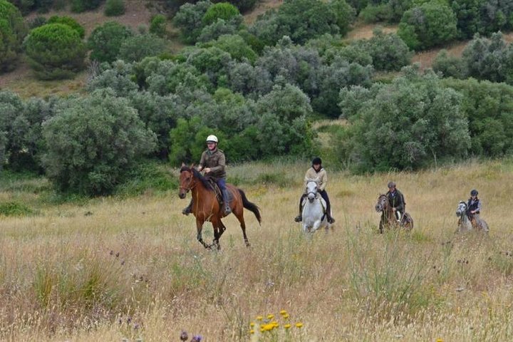 Horseback Riding, 4 Options-Mountain, Lesson Ring, Beach (2Hours)