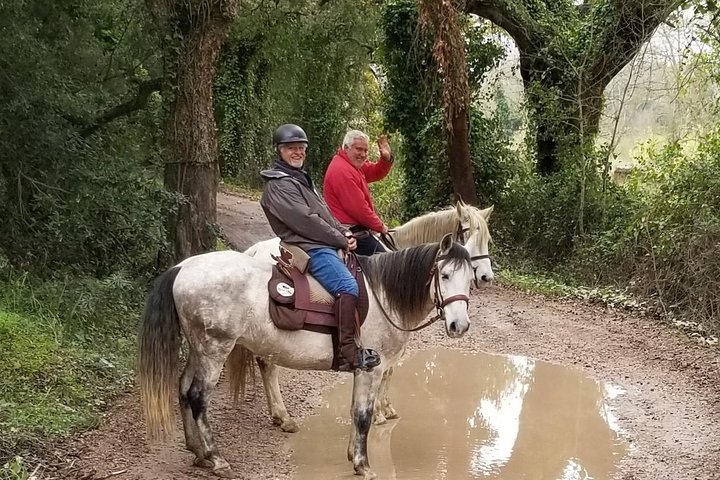Horseback Riding, 4 Options-Mountain, Lesson Ring, Beach (2Hours)