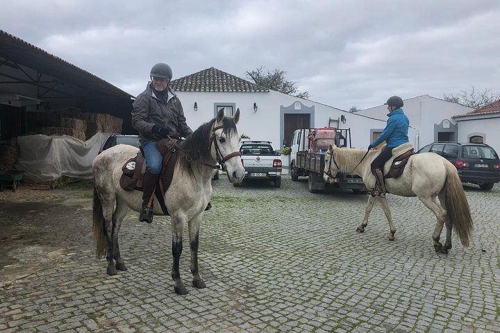 Horseback Riding, 4 Options-Mountain, Lesson Ring, Beach (2Hours)