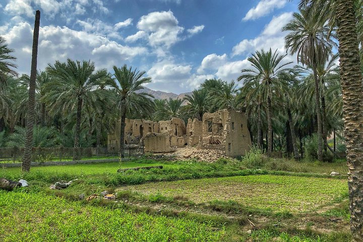 Nizwa and Oman's Grand Canyon: Full-Day Adventure