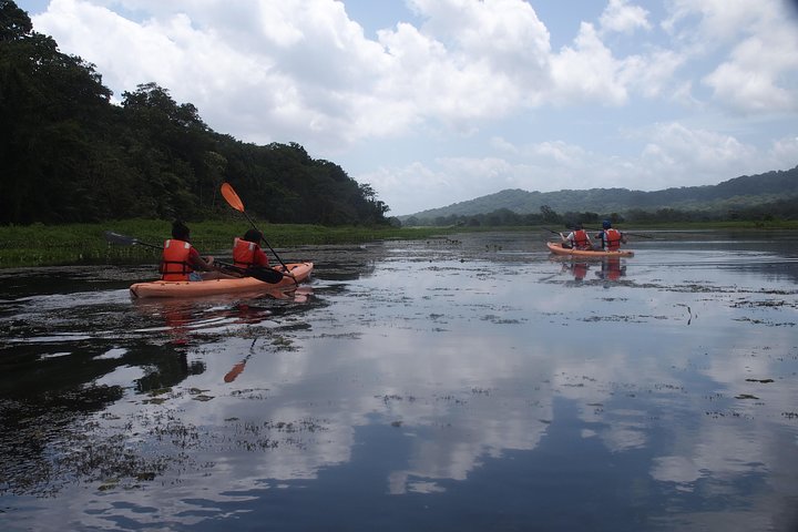 Kayaking tour in the Chagres River