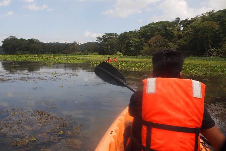 Kayaking tour in the Chagres River