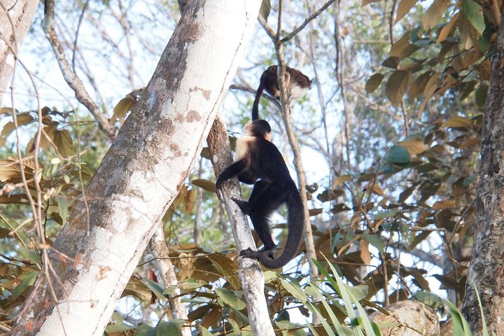 Soberania National Park Hike