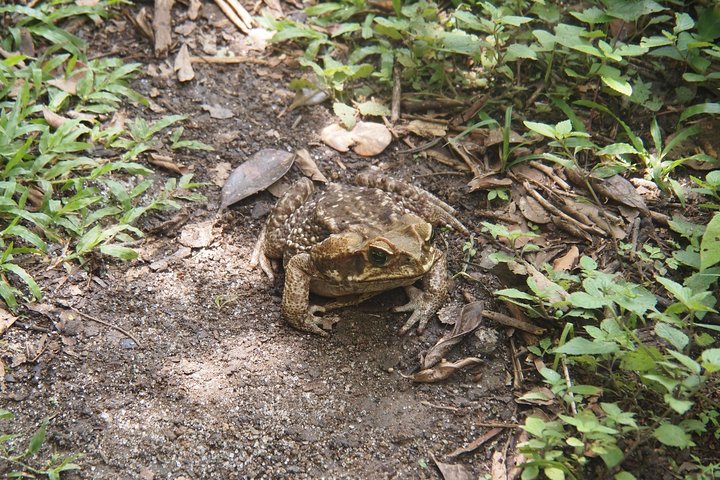 Soberania National Park Hike