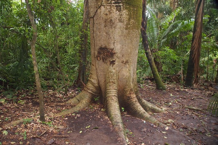Soberania National Park Hike