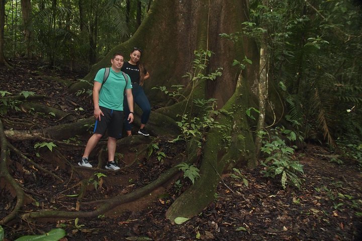 Soberania National Park Hike