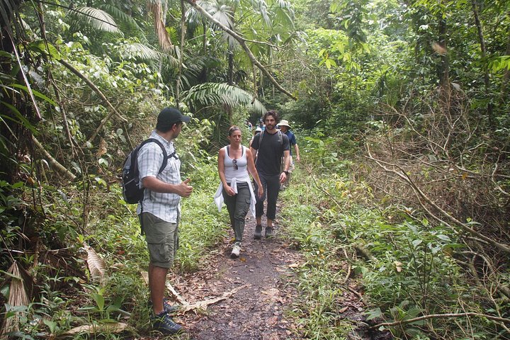 Soberania National Park Hike