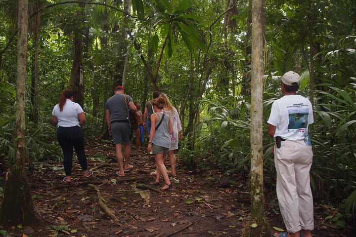 Soberania National Park Hike