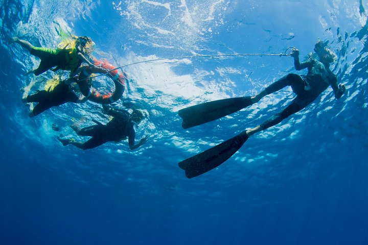 Passions of Paradise Great Barrier Reef Cruise by Catamaran
