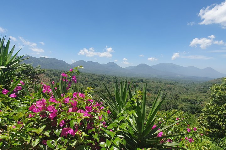 Ruta de Las Flores, Visit 4 Colonial Towns and Coffee Farm