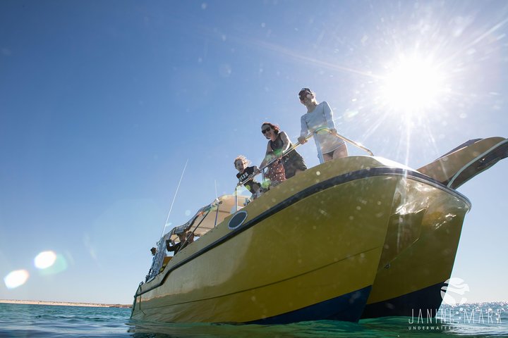 2.5 hour Snorkel / Turtle Tour on the Ningaloo Reef, Exmouth