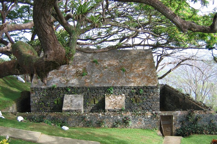 Tobago Buccoo Reef Glass Bottom Boat Cruise and Island Sightseeing Tour
