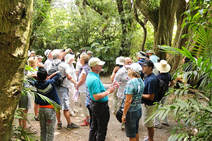 Best Full Day Combo Tour: Volcanoes, Lake and Mayan Sites