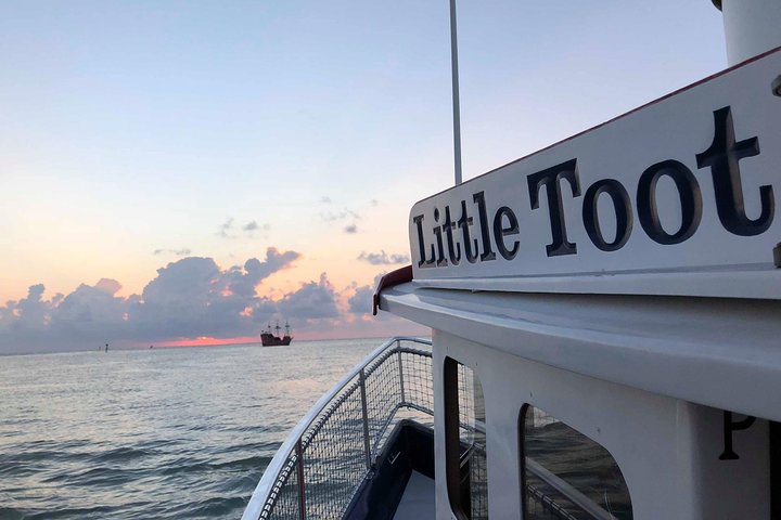 Little Toot Dolphin Adventure at Clearwater Beach