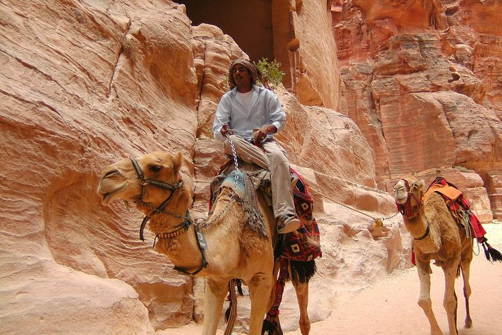 1 Day Tour to Petra From Sharm-el-Sheikh