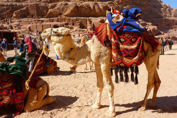 1 Day Tour to Petra From Sharm-el-Sheikh