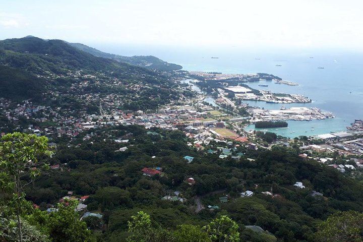 Explore Copolia Trail