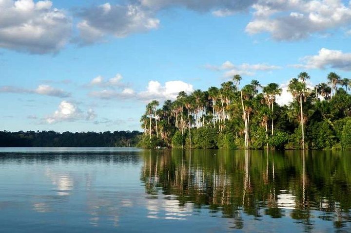 4 Day Tambopata Amazon Wildlife & Canopy Experience