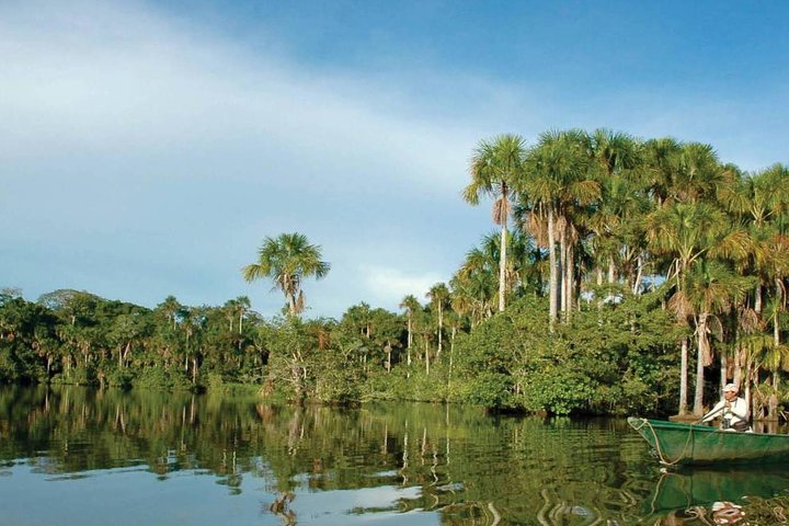 4 Day Tambopata Amazon Wildlife & Canopy Experience