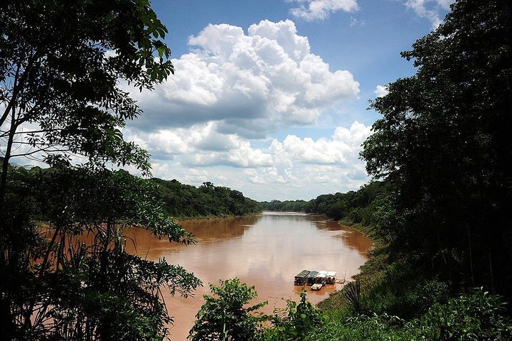 4 Day Tambopata Amazon Wildlife & Canopy Experience