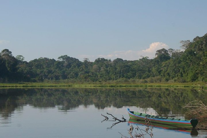 4 Day Tambopata Amazon Wildlife & Canopy Experience