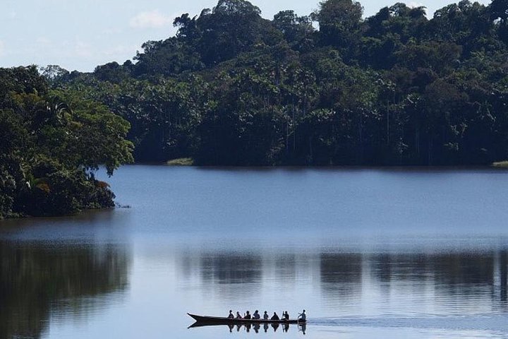 4 Day Tambopata Amazon Wildlife & Canopy Experience