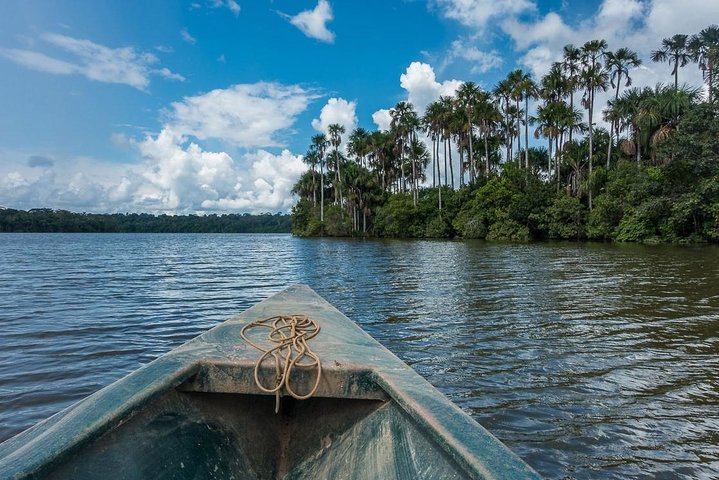 4 Day Tambopata Amazon Wildlife & Canopy Experience