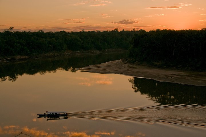 4 Day Tambopata Amazon Wildlife & Canopy Experience