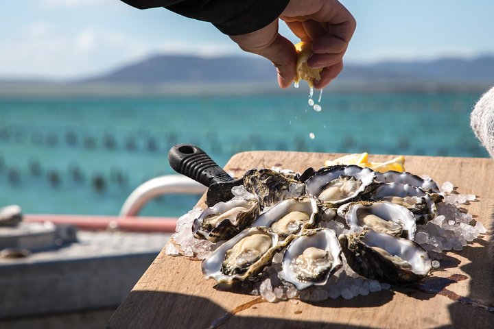 Experience Coffin Bay Oyster Farm and Bay Tour