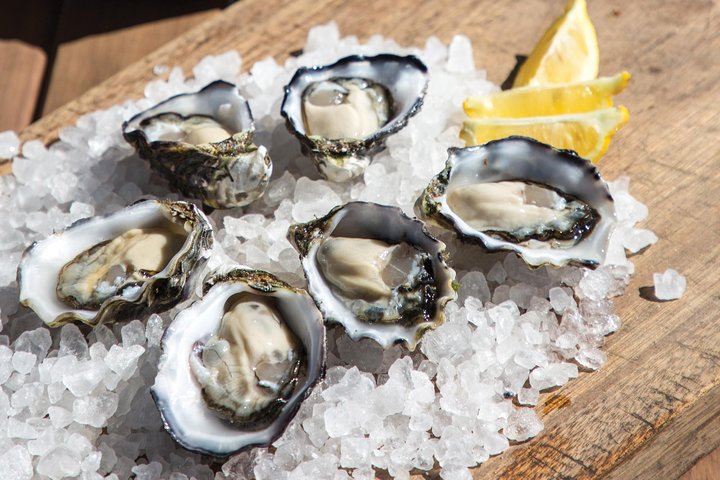 Experience Coffin Bay Oyster Farm and Bay Tour