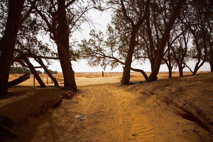 From Djerba: Ksar Ghilane & Matmata 4*4 guided tour with lunch