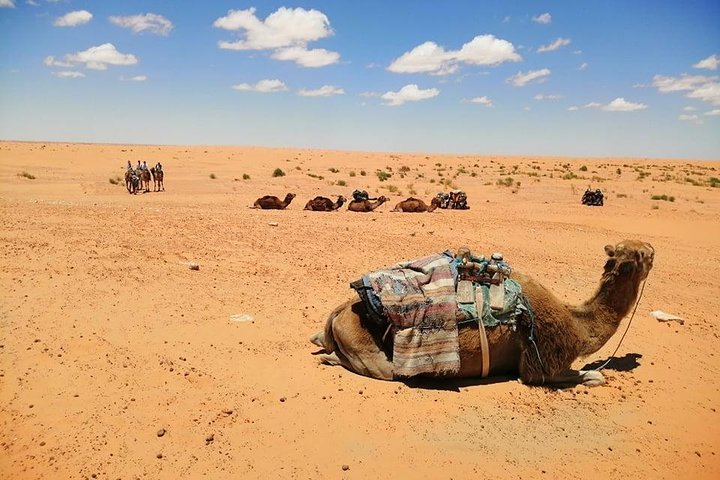 From Djerba: Ksar Ghilane & Matmata 4*4 guided tour with lunch