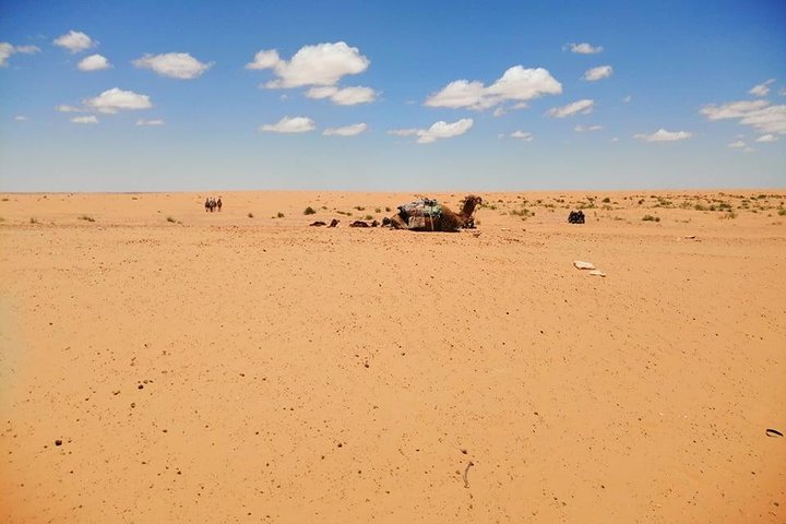 From Djerba: Ksar Ghilane & Matmata 4*4 guided tour with lunch