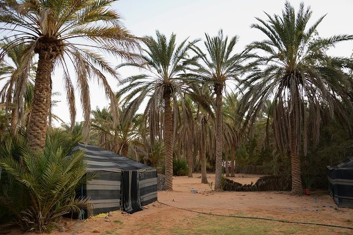 From Djerba: Ksar Ghilane & Matmata 4*4 guided tour with lunch