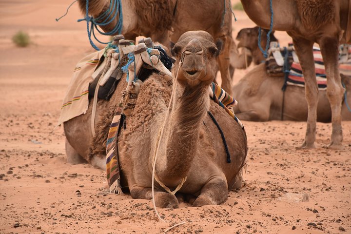 From Djerba: Ksar Ghilane & Matmata 4*4 guided tour with lunch