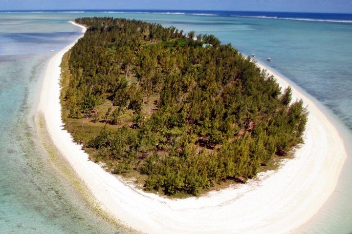 Catamaran Cruise to Ile Aux Bénitiers: Dolphin watch, Crystal Rock & Transfer