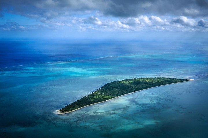 Catamaran Cruise to Ile Aux Bénitiers: Dolphin watch, Crystal Rock & Transfer
