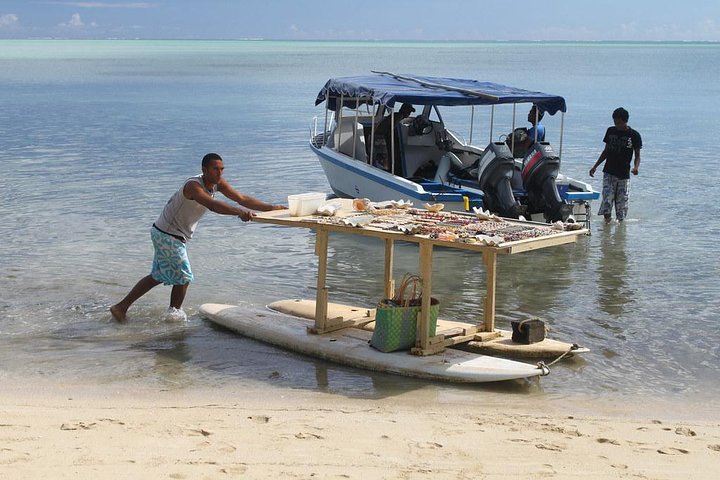 Catamaran Cruise to Ile Aux Bénitiers: Dolphin watch, Crystal Rock & Transfer